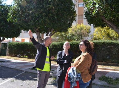 Noticia de Almería 24h: Medio ambiente aplica un nuevo protocolo de podas que regenera el árbol y previene las aparición de plagas