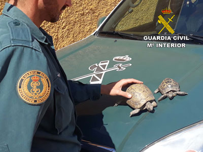 Noticia de Almería 24h: La Guardia Civil detiene a la autora de un delito relativo a la protección de flora, fauna y animales domésticos 