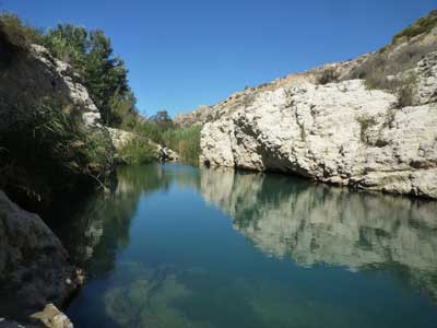 El III Festival del Agua en los Molinos del Ro Aguas reivindica la defensa del acufero que sufre una alarmante sobreexplotacin 