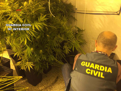 La Guardia Civil entra a un bloque de viviendas para mediar en una disputa y encuentra cerca de 400 plantas de marihuana