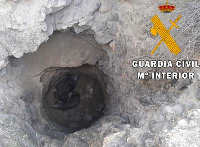 Noticia de Almería 24h: Rescatan a un perro y a cuatro jabalíes caídos en un pozo abandonado de diez metros de profundidad