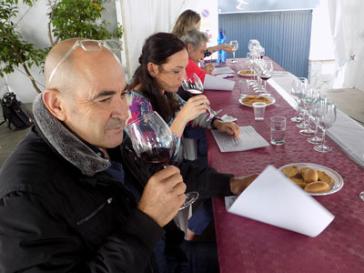 Abla pone en valor los vinos artesanos de la comarca Ro Nacimiento  