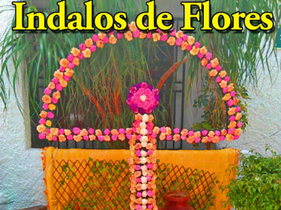 Noticia de Almera 24h: Comienza en Mojcar los Indalos de las Flores 2019