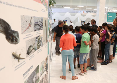 Una exposicin sobre la fauna, flora e historia acercar el conocimiento del Paraje Natural de Punta Entinas Sabinar a los ejidenses