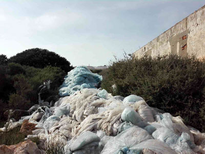 Retiran 25.000 kilos de plásticos en la jornada de limpieza de APROA y Coexphal