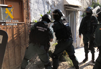 Noticia de Almería 24h: Encuentran dos armas de fuego simuladas y una modificada en una plantación con 600 plantas de marihuana 