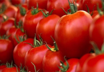 Coexphal advierte sobre la reventa y el contrabando de tomate marroqu