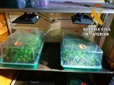 La Guardia Civil localiza un laboratorio de germinación de marihuana de alta tecnología