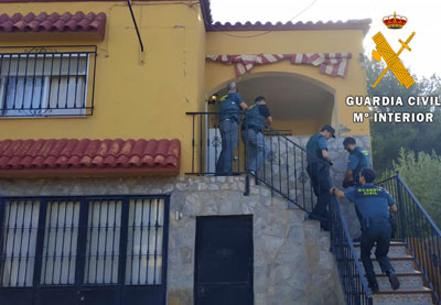 Dos detenidos tras localizar en un cortijo de Pechina una plantacin con ms de 1000 plantas de marihuana