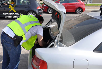 Detenida una mujer con 148 plantas de marihuana en el coche