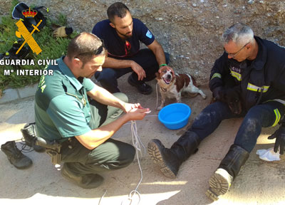 La Guardia Civil auxilia a dos perros que llevaban das abandonados en una arqueta en Alhabia  