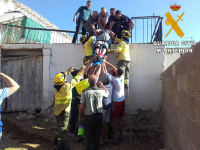 La Guardia Civil rescata a una anciana atrapada en el incendio de su casa