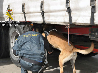 Noticia de Almería 24h: La Guardia Civil auxilia en el Puerto de Almería a dos personas que viajan ocultos en camiones 
