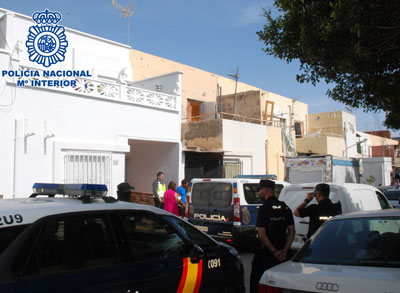 Noticia de Almería 24h: Tras una denuncia por malos tratos encuentran en El Ejido una plantación de marihuana  con 261 plantas, en una vivienda