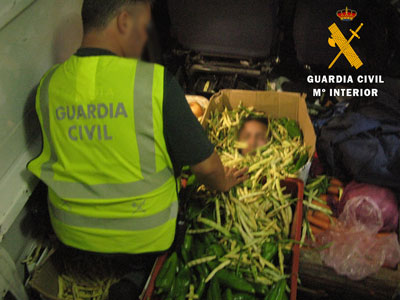 Noticia de Almería 24h: La Guardia Civil auxilia en el Puerto de Almería a una persona que viajaba oculta en una caja de hortalizas