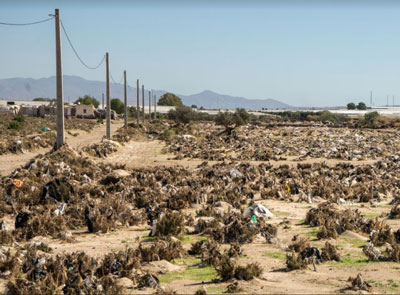 Noticia de Almería 24h: Ecologistas en Acción: Las Administraciones cierran los ojos a los efectos de la DANA en el campo de Níjar