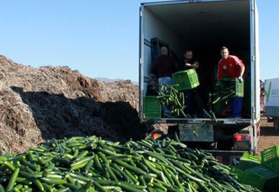 El Ayuntamiento de Adra apoya a los agricultores ante la crisis de precios