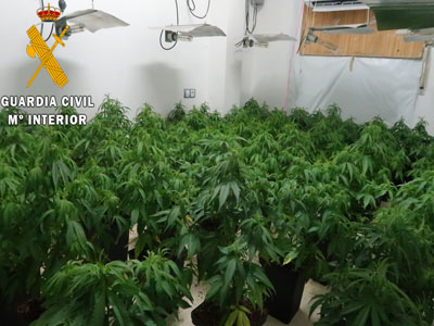 Noticia de Almera 24h: La Guardia Civil interviene ms de 1200 plantas de marihuana en las estancias subterrneas de 5 viviendas unifamiliares