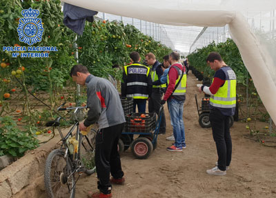 Noticia de Almera 24h: La Polica Nacional destapa una trama empresarial en Njar, cuyos responsables promovan la suplantacin de identidad de sus trabajadores irregulares