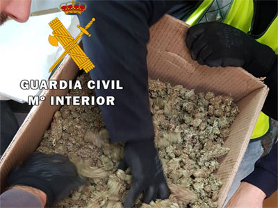 Noticia de Almera 24h: La Guardia Civil localiza un almacn de droga para distribucin a gran escala y detiene a su propietario  