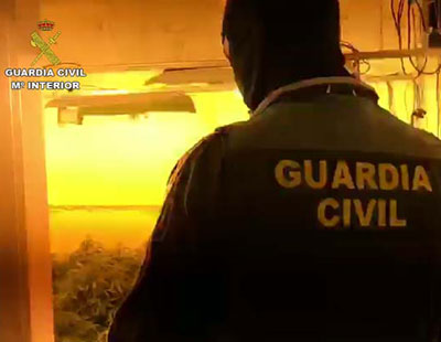 La Guardia Civil interviene 366 plantas de marihuana en una vivienda de Roquetas de Mar que habitaban dos menores de edad 