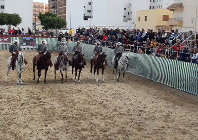 Noticia de Almera 24h: El Encuentro Caballista llena la explanada de Molino del Lugar de amantes del mundo ecuestre