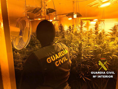 Noticia de Almería 24h: Dos detenidos por cultivar 171 plantas de marihuana en una vivienda blindada al exterior