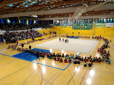 Noticia de Almería 24h: Los alumnos de las Escuelas Deportivas Municipales muestran todo el potencial adquirido a lo largo de la temporada en las tradicionales exhibiciones de Navidad