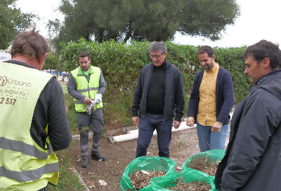 El plan de refuerzo de jardines y zonas verdes comienza en barriadas y centros escolares