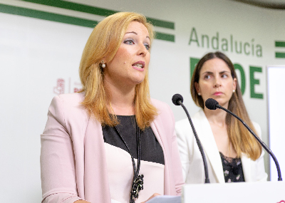 El PSOE de Adra lamenta que PP y Cs hayan aprobado un presupuesto opaco y que es “un corta y pega” del de 2015