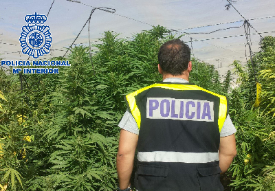 Noticia de Almería 24h: La policía Nacional salda 2019 con 244 detenidos por tráfico de drogas y más de tres toneladas de marihuana incautadas