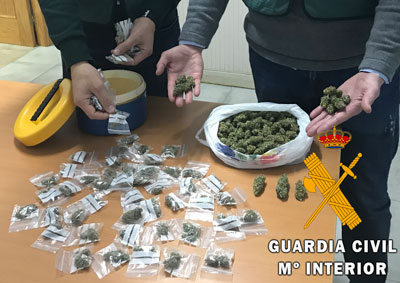 Desmantelan un activo punto de venta de droga que escondía 106 plantas de marihuana en Roquetas de Mar