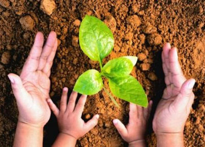 Ahora toca Educacin Ambiental