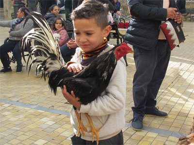 Vera celebra su tradicional y multitudinaria Fiesta de San Antón 