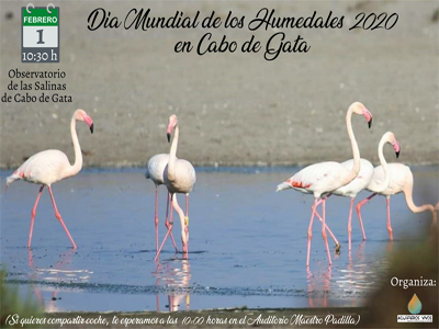Noticia de Almería 24h: Los Humedales de Almeria Amenazados por las actividades Humanas. Dia Mundial de los Humedales