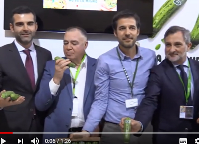 Noticia de Almera 24h: El ayuntamiento respalda la agricultura Almeriense en Fruit Logstica 2020