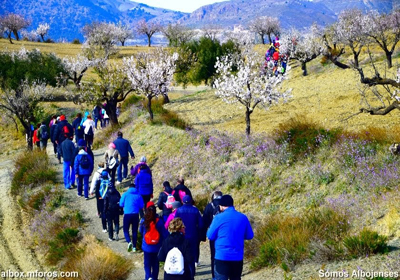 Noticia de senderismo en Almera 24h: La flor rosa de la Almendra Marcona ser la gran protagonista la XII Ruta de los Almendros en Flor