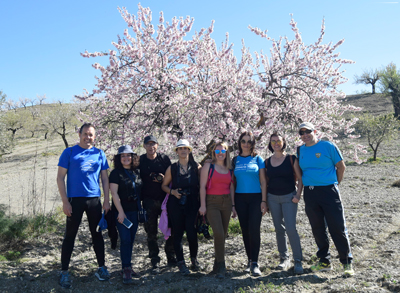 Noticia de senderismo en Almera 24h: La XII Ruta del Almendro en Flor en el Saliente - Albox , belleza, gastronoma y amistad