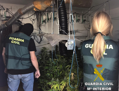 La Guardia Civil localiza una plantación Indoor de marihuana con 232 plantas y neutraliza 6 enganches ilegales a la red eléctrica