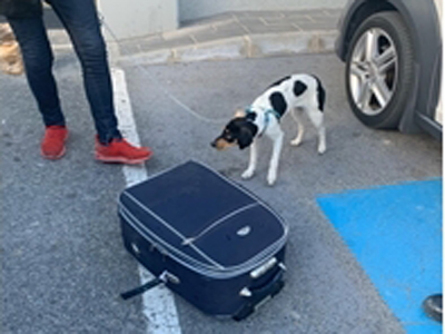 La Guardia Civil intercepta a una persona que pretendía viajar en autobús con un perro de gran tamaño encerrado en una maleta  