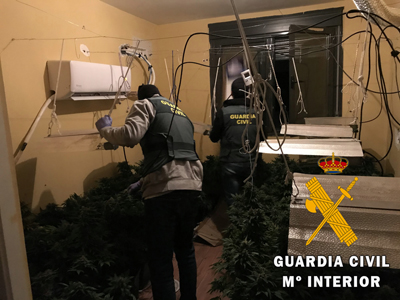 Detenido por cultivar marihuana en una vivienda de Roquetas