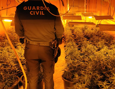 La Guardia Civil detiene a dos personas y localiza 522 plantas de marihuana en tres viviendas del mismo edificio en La Mojonera 