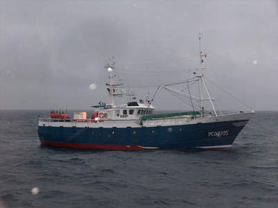 Noticia de Almera 24h: El Sector Pesquero garantiza el suministro de productos pese a las dificultades