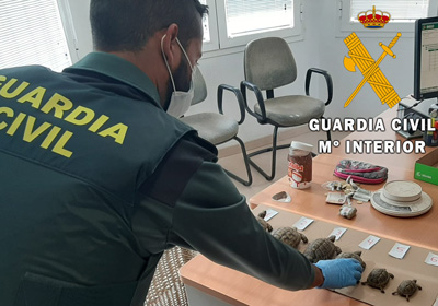 La Guardia Civil detiene a una persona por un delito Contra la Salud Pública en Cuevas del Almanzora