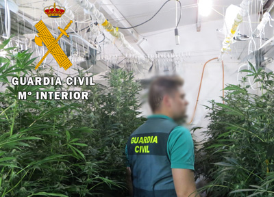 Cultivaban, preparaban, empaquetaban y enviaban por paquetera marihuana a Espaa y Europa