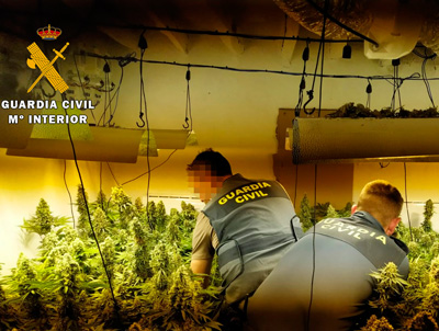 Noticia de Almería 24h: La Guardia Civil detiene a dos personas con 355 plantas de marihuana repartidas entre cuatro habitaciones