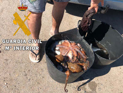 La Guardia Civil interviene 30 kg. de pulpo (Octopus Vulgaris) a dos buceadores en Roquetas de Mar