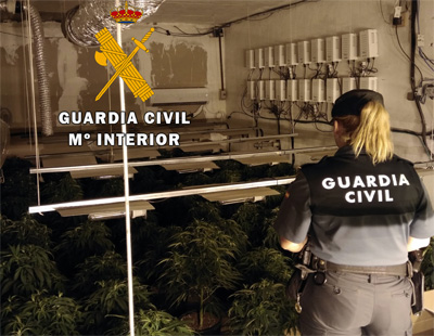 La Guardia Civil detiene al responsable de una plantación indoor de marihuana con 150 plantas en Roquetas de Mar