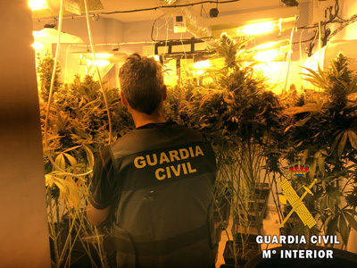 Noticia de Almería 24h: La Guardia Civil localiza e interviene un cultivo indoor de marihuana en Roquetas de Mar