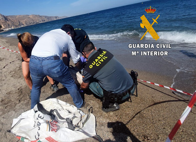 La Guardia Civil presta seguridad y apoyo en el varamiento de un delfín listado a los técnicos de Equinac